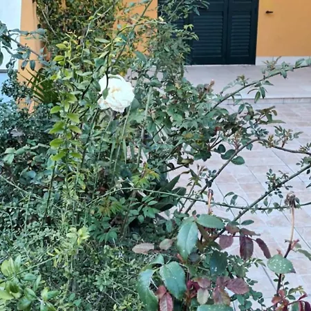 Brezza Di Mare Gallipolli