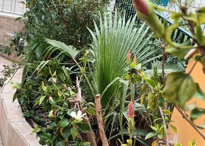 別荘 Brezza Di Mare