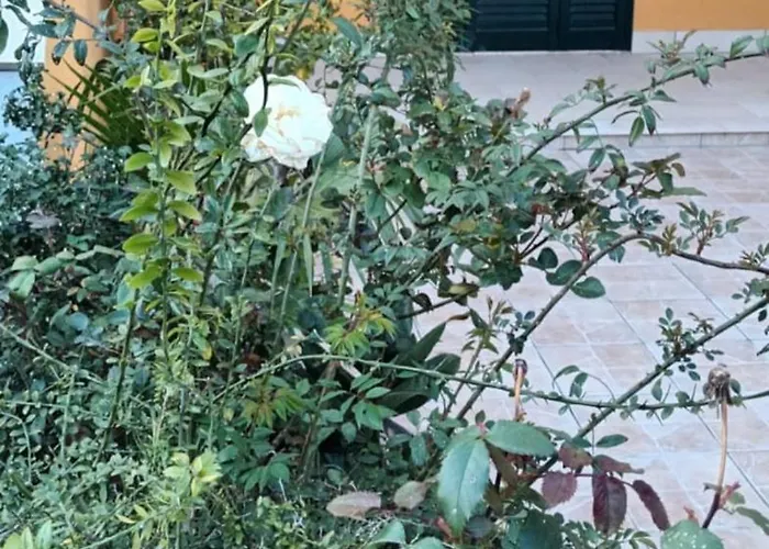 Brezza Di Mare ガリポリ